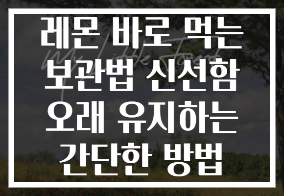 레몬 바로 먹는 보관법 신선함 오래 유지하는 간단한 방법
