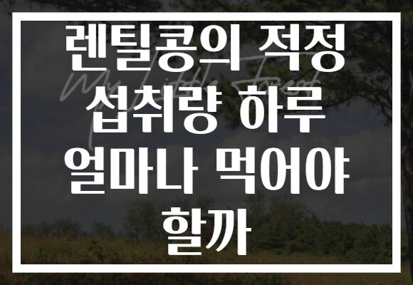 렌틸콩의 적정 섭취량 하루 얼마나 먹어야 할까