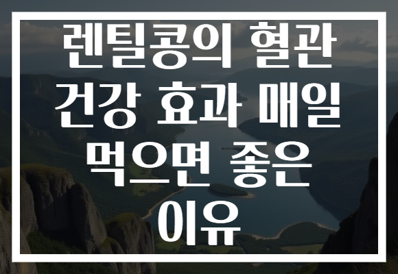렌틸콩의 혈관 건강 효과 매일 먹으면 좋은 이유