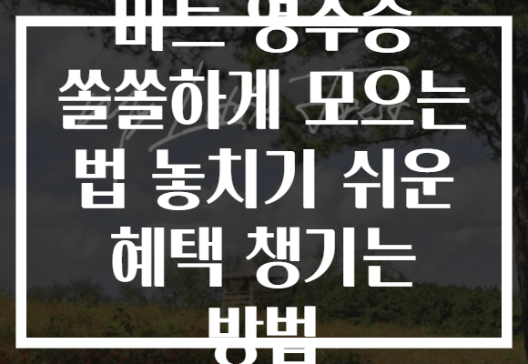 마트 영수증 쏠쏠하게 모으는 법 놓치기 쉬운 혜택 챙기는 방법