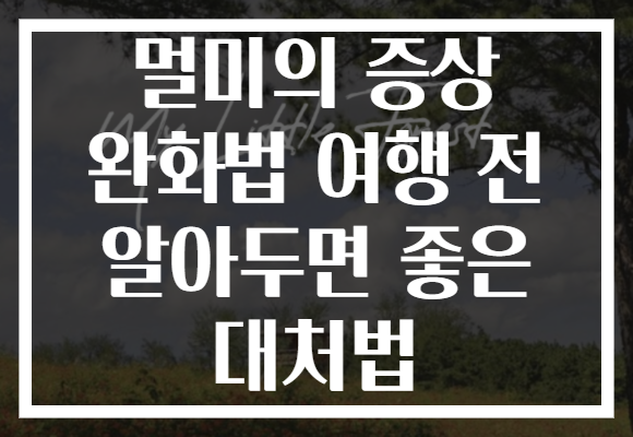 멀미의 증상 완화법 여행 전 알아두면 좋은 대처법
