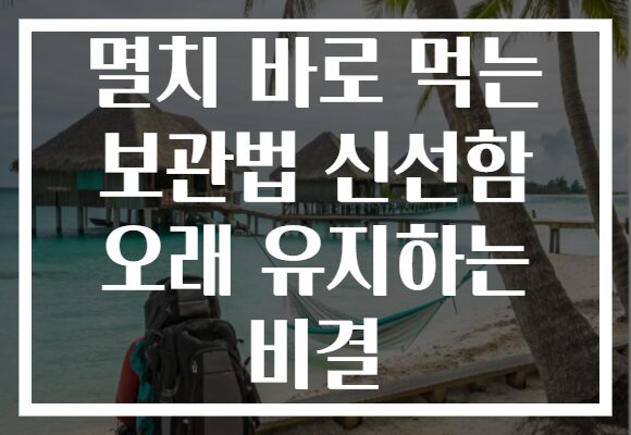 멸치 바로 먹는 보관법 신선함 오래 유지하는 비결