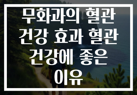 무화과의 혈관 건강 효과 혈관 건강에 좋은 이유