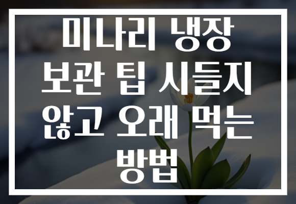 미나리 냉장 보관 팁 시들지 않고 오래 먹는 방법