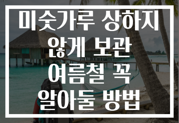 미숫가루 상하지 않게 보관 여름철 꼭 알아둘 방법
