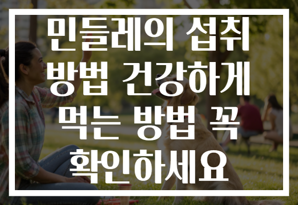민들레의 섭취 방법 건강하게 먹는 방법 꼭 확인하세요