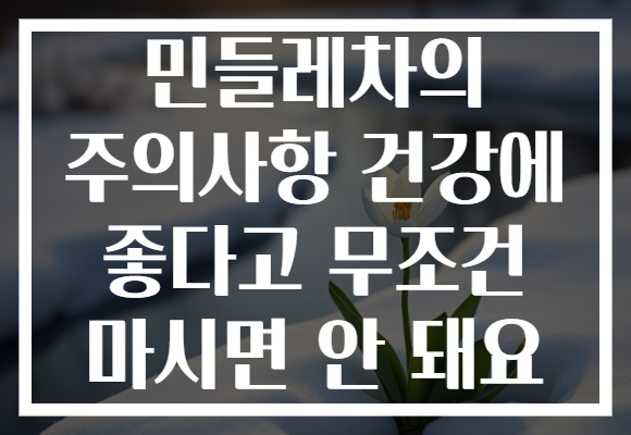민들레차의 주의사항 건강에 좋다고 무조건 마시면 안 돼요