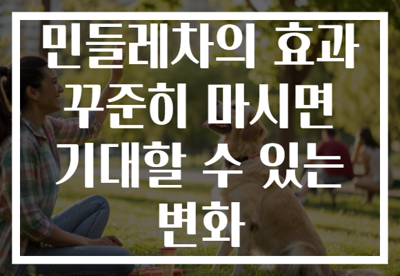 민들레차의 효과 꾸준히 마시면 기대할 수 있는 변화