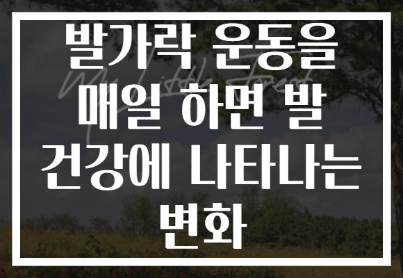 발가락 운동을 매일 하면 발 건강에 나타나는 변화