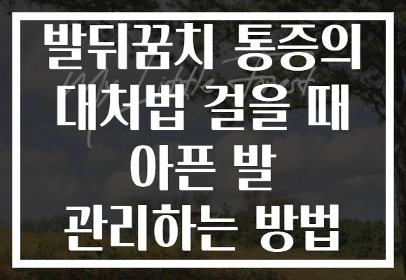 발뒤꿈치 통증의 대처법 걸을 때 아픈 발 관리하는 방법