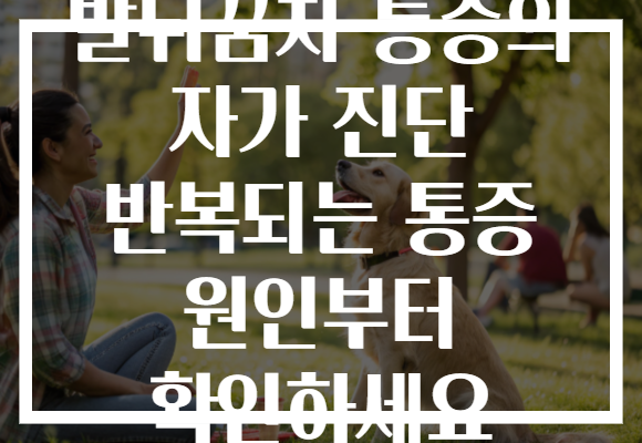 발뒤꿈치 통증의 자가 진단 반복되는 통증 원인부터 확인하세요