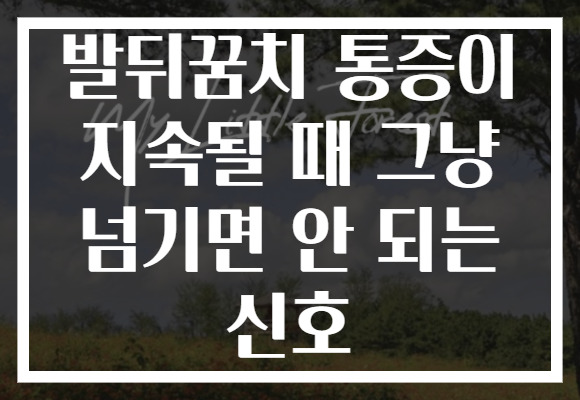 발뒤꿈치 통증이 지속될 때 그냥 넘기면 안 되는 신호