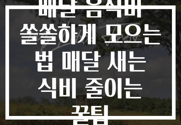 배달 음식비 쏠쏠하게 모으는 법 매달 새는 식비 줄이는 꿀팁