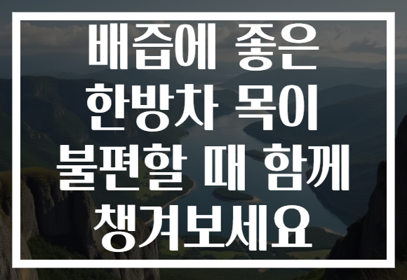 배즙에 좋은 한방차 목이 불편할 때 함께 챙겨보세요