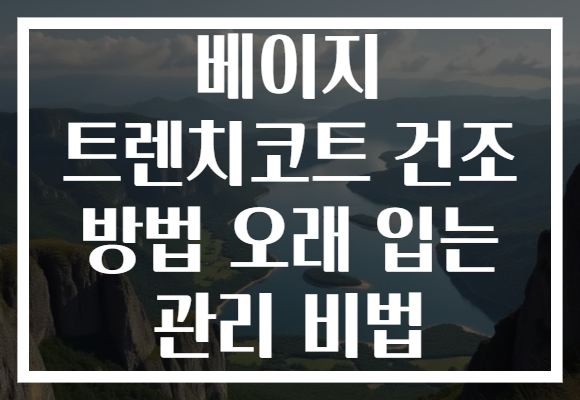 베이지 트렌치코트 건조 방법 오래 입는 관리 비법