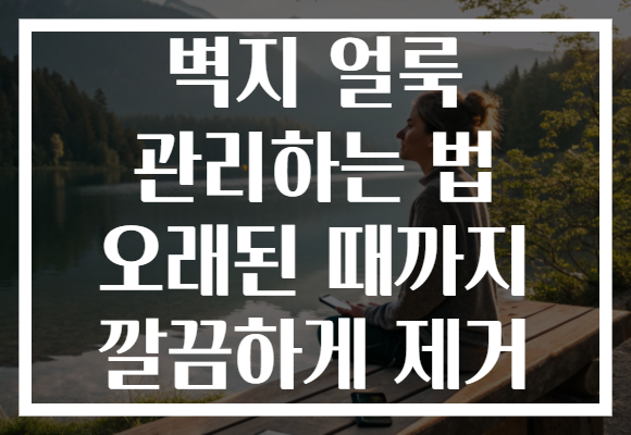벽지 얼룩 관리하는 법 오래된 때까지 깔끔하게 제거