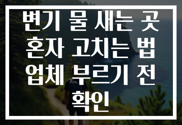변기 물 새는 곳 혼자 고치는 법 업체 부르기 전 확인