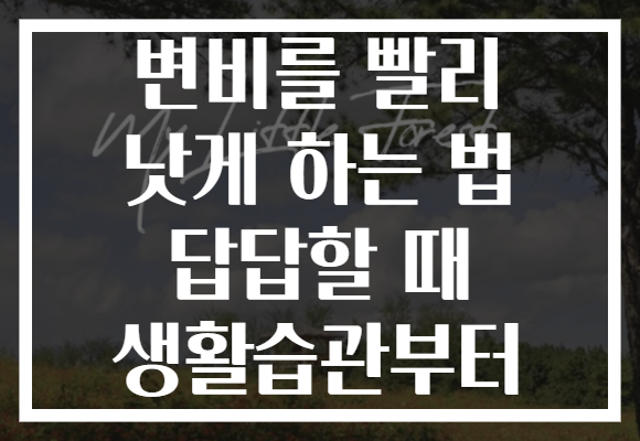 변비를 빨리 낫게 하는 법 답답할 때 생활습관부터