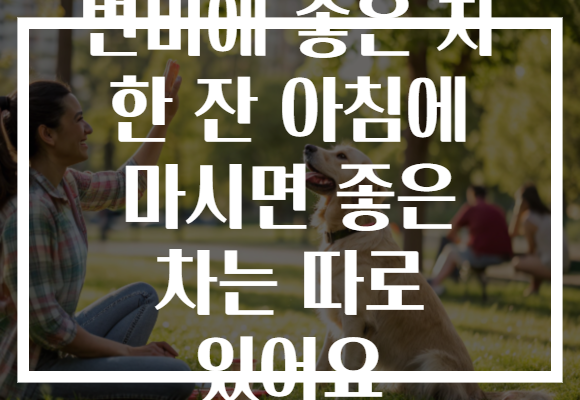 변비에 좋은 차 한 잔 아침에 마시면 좋은 차는 따로 있어요