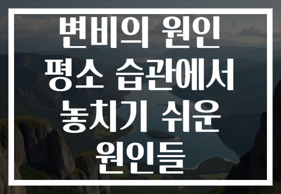 변비의 원인 평소 습관에서 놓치기 쉬운 원인들