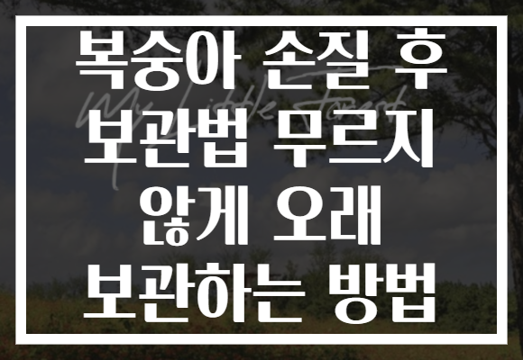 복숭아 손질 후 보관법 무르지 않게 오래 보관하는 방법