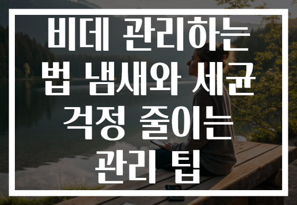 비데 관리하는 법 냄새와 세균 걱정 줄이는 관리 팁