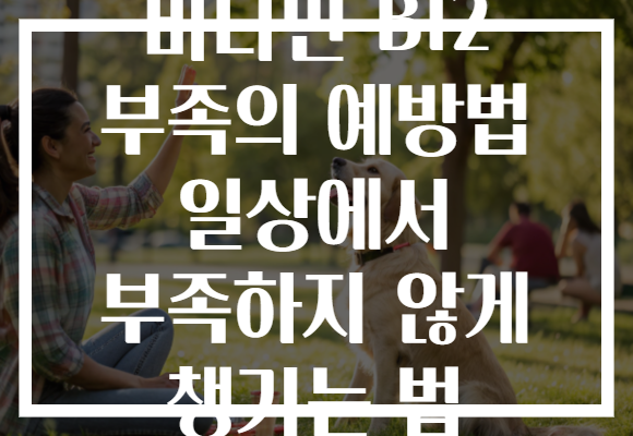 비타민 B12 부족의 예방법 일상에서 부족하지 않게 챙기는 법