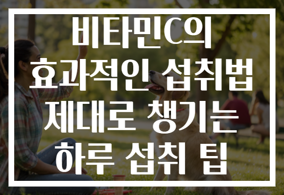 비타민C의 효과적인 섭취법 제대로 챙기는 하루 섭취 팁