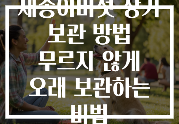 새송이버섯 장기 보관 방법 무르지 않게 오래 보관하는 비법