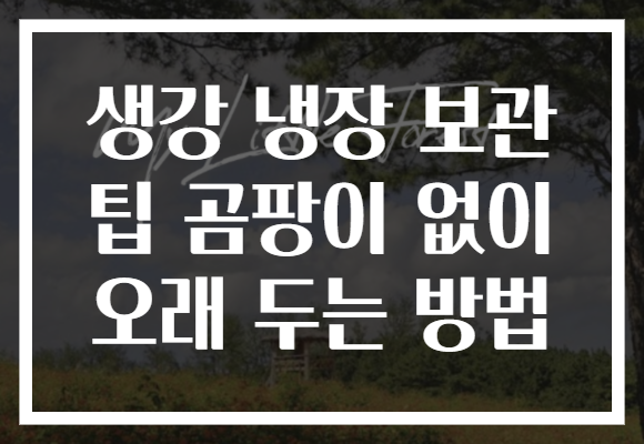 생강 냉장 보관 팁 곰팡이 없이 오래 두는 방법