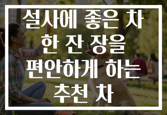 설사에 좋은 차 한 잔 장을 편안하게 하는 추천 차