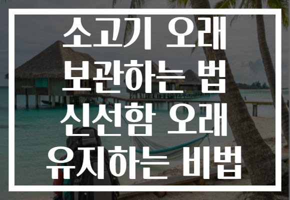 소고기 오래 보관하는 법 신선함 오래 유지하는 비법