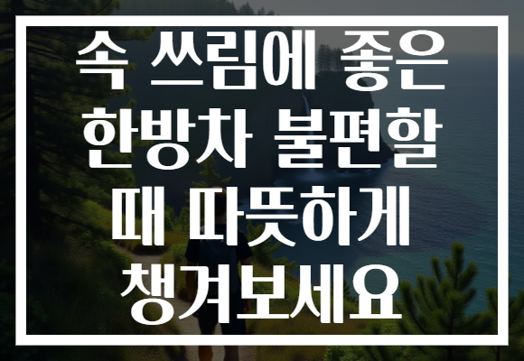 속 쓰림에 좋은 한방차 불편할 때 따뜻하게 챙겨보세요