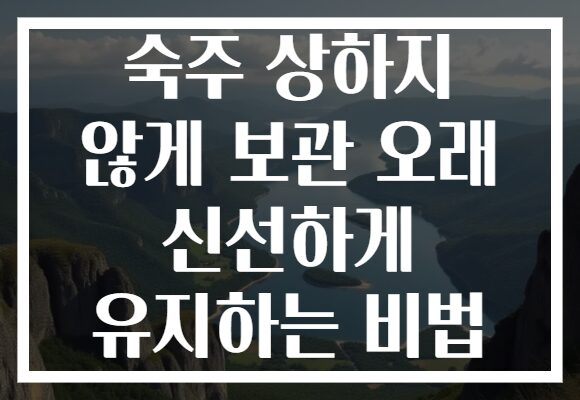 숙주 상하지 않게 보관 오래 신선하게 유지하는 비법
