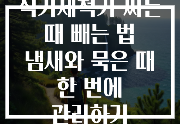 식기세척기 찌든 때 빼는 법 냄새와 묵은 때 한 번에 관리하기