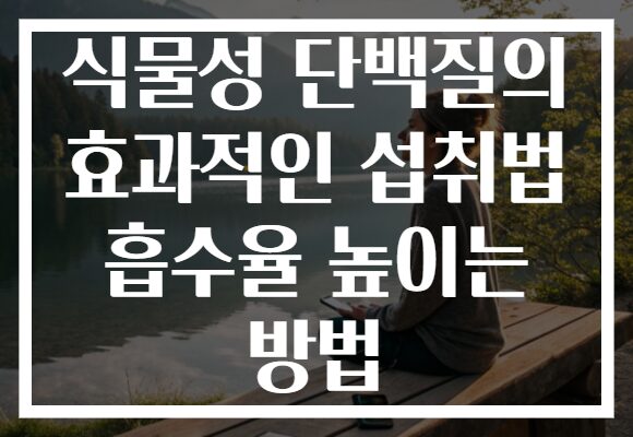 식물성 단백질의 효과적인 섭취법 흡수율 높이는 방법