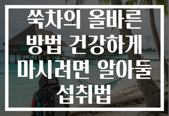 쑥차의 올바른 방법 건강하게 마시려면 알아둘 섭취법