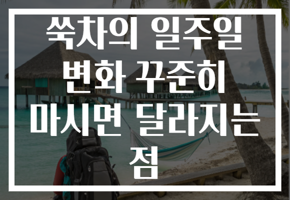 쑥차의 일주일 변화 꾸준히 마시면 달라지는 점