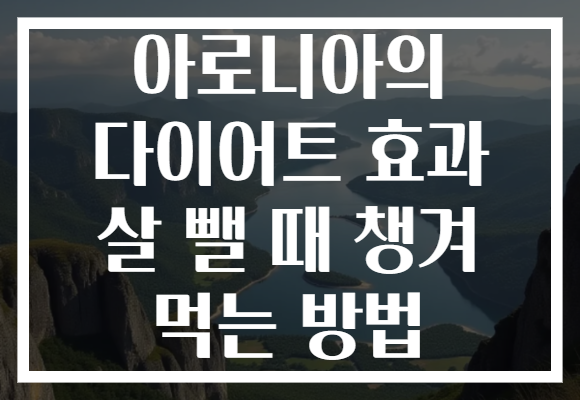 아로니아의 다이어트 효과 살 뺄 때 챙겨 먹는 방법