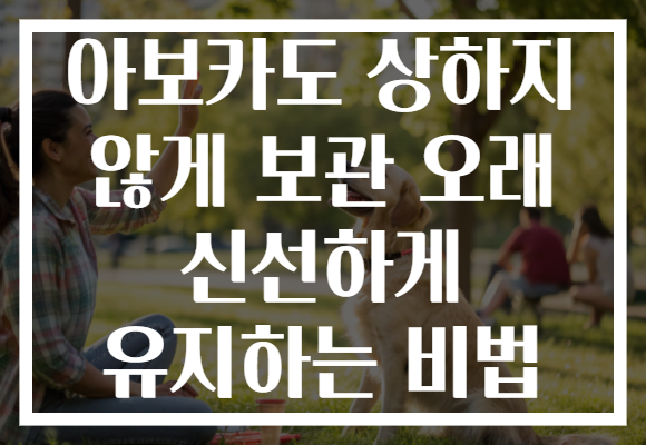 아보카도 상하지 않게 보관 오래 신선하게 유지하는 비법