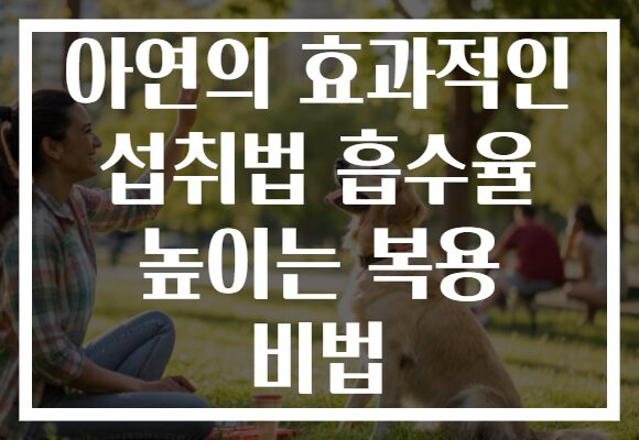 아연의 효과적인 섭취법 흡수율 높이는 복용 비법