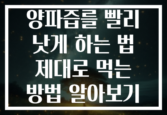 양파즙를 빨리 낫게 하는 법 제대로 먹는 방법 알아보기