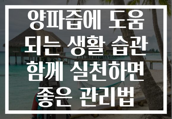 양파즙에 도움 되는 생활 습관 함께 실천하면 좋은 관리법