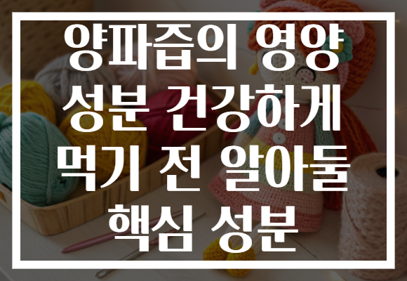 양파즙의 영양 성분 건강하게 먹기 전 알아둘 핵심 성분