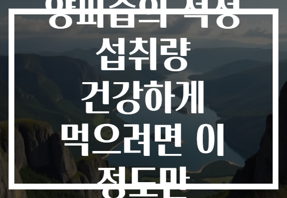 양파즙의 적정 섭취량 건강하게 먹으려면 이 정도만