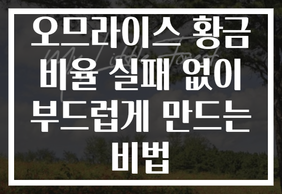 오므라이스 황금 비율 실패 없이 부드럽게 만드는 비법
