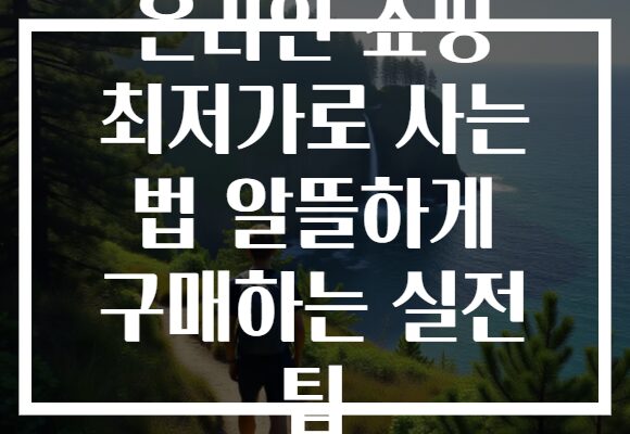 온라인 쇼핑 최저가로 사는 법 알뜰하게 구매하는 실전 팁