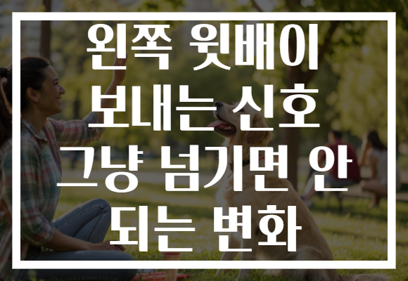 왼쪽 윗배이 보내는 신호 그냥 넘기면 안 되는 변화