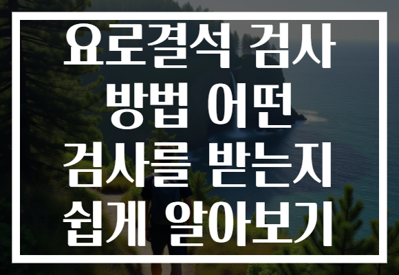 요로결석 검사 방법 어떤 검사를 받는지 쉽게 알아보기