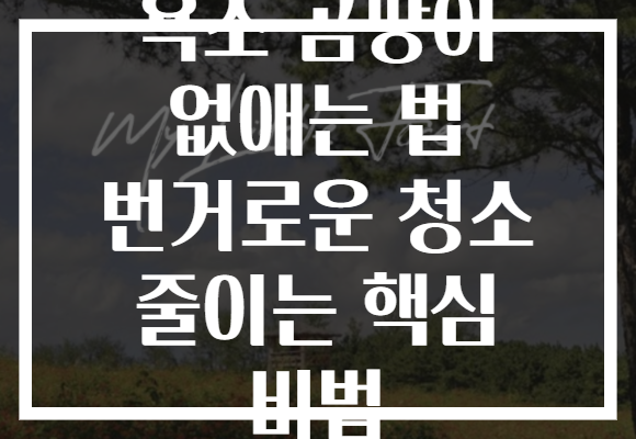 욕조 곰팡이 없애는 법 번거로운 청소 줄이는 핵심 비법